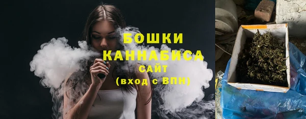 МДПВ Бородино