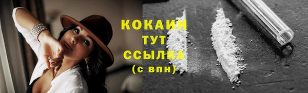 МДПВ Бородино