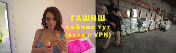 МДПВ Бородино