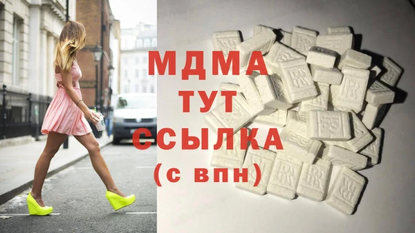 МДПВ Бородино