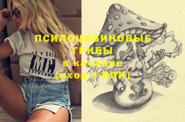 МДПВ Бородино