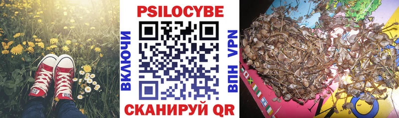 купить  сайты  Шацк  Псилоцибиновые грибы мухоморы 