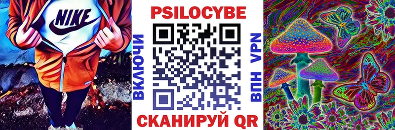Псилоцибиновые грибы Psilocybine cubensis Шацк