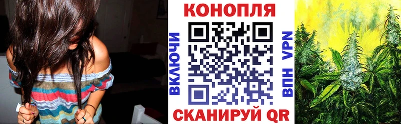 сколько стоит  Шацк  hydra ССЫЛКА  Каннабис White Widow 